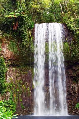 Download Millaa Millaa Falls Nort Queensland Australia Waterfall Journal: 150 Page Lined Notebook/Diary -  | ePub