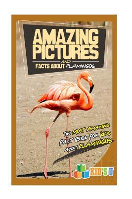 Download Amazing Pictures and Facts about Flamingos: The Most Amazing Fact Book for Kids about Flamingos - Mina Kelly file in ePub