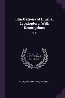 Download Illustrations of Diurnal Lepidoptera, with Descriptions: V. 2 - Andrew Gray Weeks | ePub