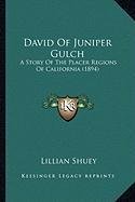 Download David Of Juniper Gulch: A Story Of The Placer Regions Of California (1894) - Lillian Shuey file in ePub