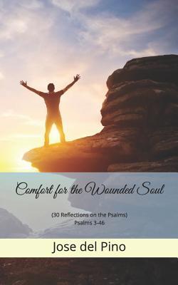 Download Comfort for the Wounded Soul: (30 Reflections on the Psalms) Psalms 3-46 - Jose del Pino | ePub