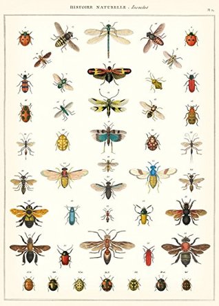 Download Cavallini & Co. Natural History Insects Decorative Decoupage Poster Wrapping Paper Sheet - Cavallini & Co. | PDF